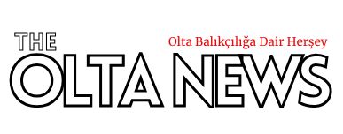 Olta News